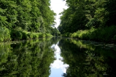 SAMSUNG DIGITAL CAMERA