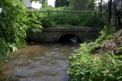 772