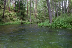 198