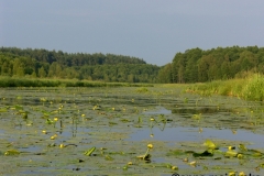 SAMSUNG DIGITAL CAMERA