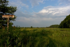 SAMSUNG DIGITAL CAMERA