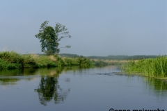 SAMSUNG DIGITAL CAMERA