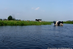 SAMSUNG DIGITAL CAMERA