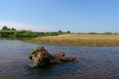 SAMSUNG DIGITAL CAMERA