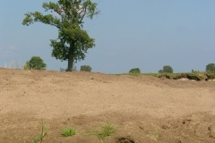 SAMSUNG DIGITAL CAMERA