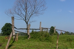 SAMSUNG DIGITAL CAMERA