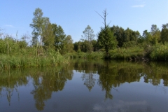 Rzeka Sawica