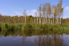 Rzeka Sawica