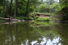 Rzeka Sawica