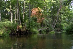 Rzeka Sawica